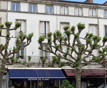 Location Appartement 3 pièces Royan (17200)